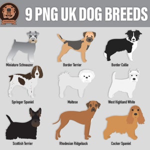 English Dog Breeds Clipart