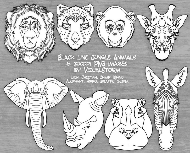 Wild Animals of Africa Clipart Digital Png Illustrations Elephant, Giraffe, Chimpanzee, Zebra, Hippopotamus, Rhinoceros, Lion, Cheetah image 10