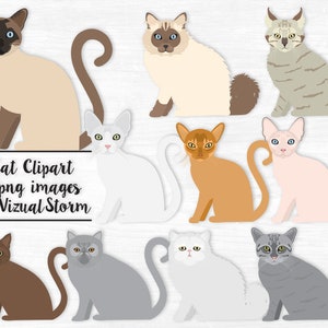 May include: Nine digital illustrations of cats in various poses. The cats are all in a cartoon style and have different colors and patterns. The text "Cat Clipart 9 png images by Vizual Storm" is at the bottom of the image.