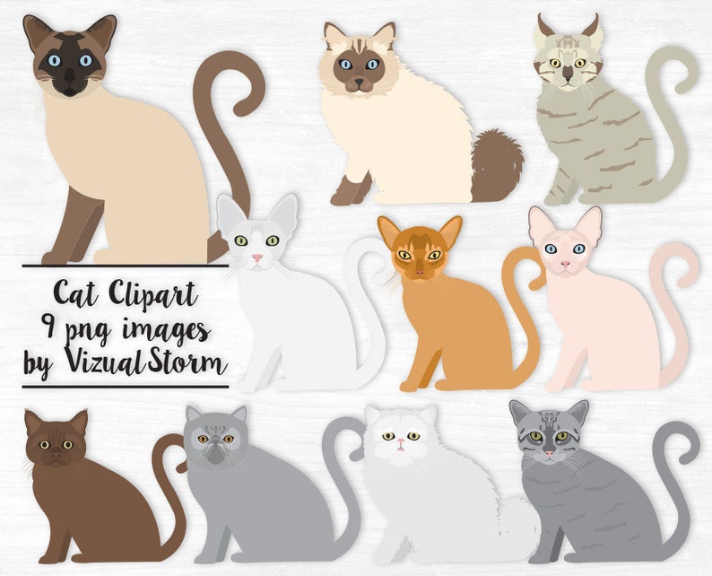 May include: Nine digital illustrations of cats in various poses. The cats are all in a cartoon style and have different colors and patterns. The text "Cat Clipart 9 png images by Vizual Storm" is at the bottom of the image.