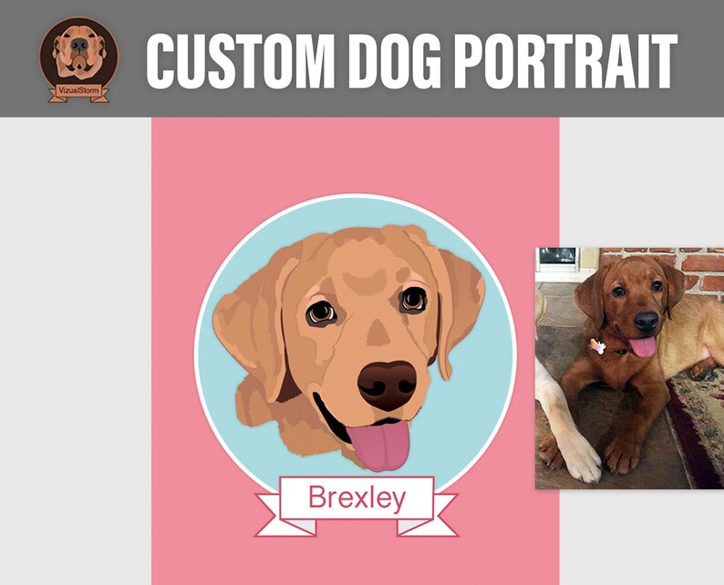 Custom Digital Dog Portraits, Hand Drawn From Photos, Personalized Pet Face Illustration, Handmade Animal Sympathy Gift, Gifts For Dog Mom image 7