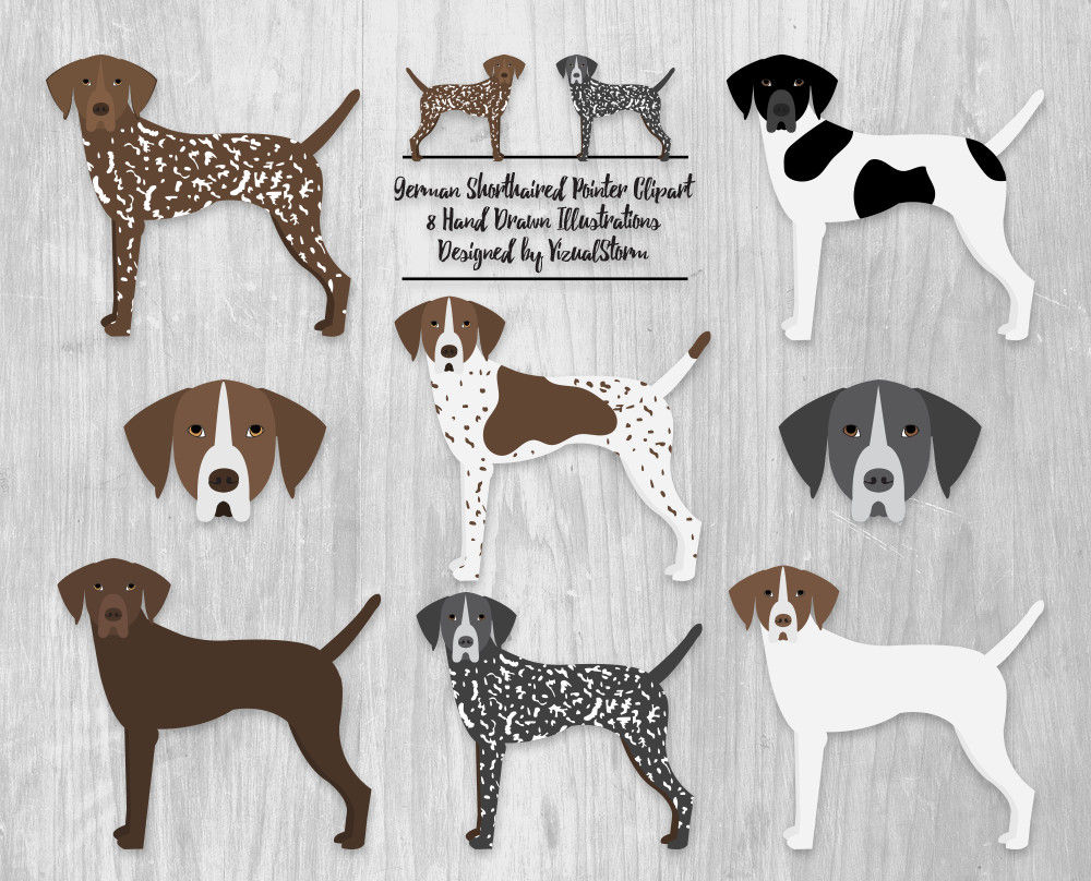 German Shorthaired Pointer Clipart 8 Gsp Dog Heads and - Etsy