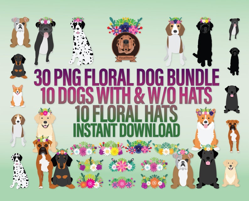 Hand Drawn Colorful Png dog breeds wearing floral crowns. 10 unique pets with and without hats, and,individual hats to add to your own designs, or, mix and match. 30 Png files with transparent backgrounds.