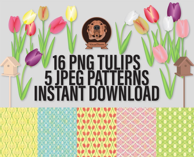 Png Tulips and Patterns