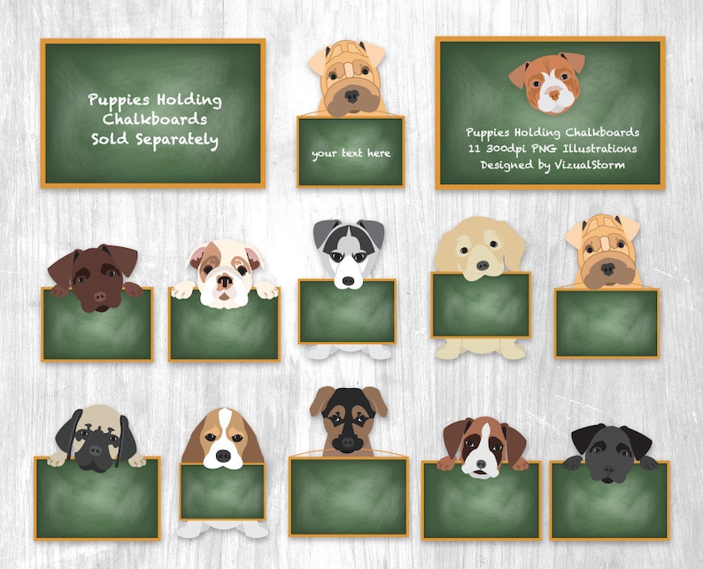 Cute Puppy Clipart Png Puppies, Labrador Retriever, English Bulldog, Baby Dog Breeds Png Clip Art Bundle, Boxer Dog, Toy Poodle, Shar Pei image 7