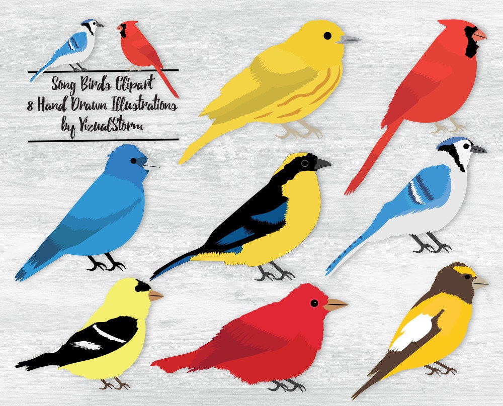 Songbird Clipart Singing Birds Png Graphics Warbler Cardinal Etsy