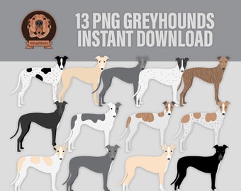 Png Greyhound Clipart - Digital Dog Breeds, Toy/Standard in Various Colors - Black, Blue, Brindle, Fawn and White - Hand Drawn Illustrations