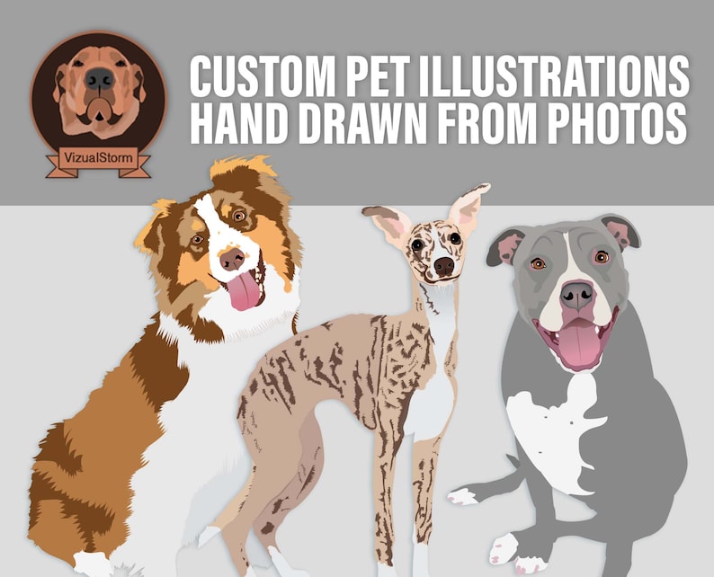Custom Vector Pet Illustrations are Hand Drawn From Your Photo in Adobe Illustrator. Digital drawings of all animal species such as dogs, cats or cows. Detailed illustration of your pet in any position you provide from your photos.