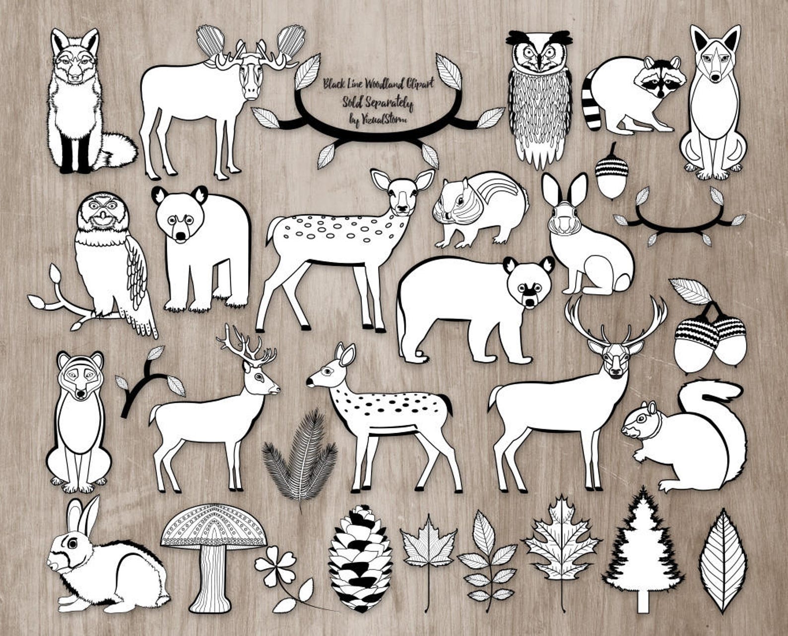 Download Woodland Animals Clipart Bundle Forest Animal Graphics | Etsy