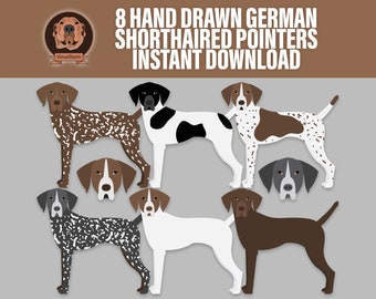 Clipart pointeur allemand à poil court - races de chiens Gsp numériques dessinés à la main avec des portraits de tête et des illustrations du corps entier, png transparents