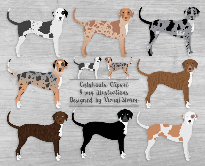 types of catahoula dogs