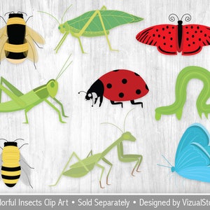 Png insect Clipart