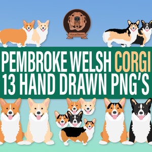 Niedliche Corgis Illustrationen - Png Pembroke Welsh Corgis Clipart Bundle, handgezeichnete Hunderassen in verschiedenen Fellfarben & Posen mit Kopfportraits