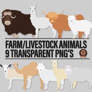 Clipart numérique de bétail d'animaux de la ferme, vache Highland écossais numérique, Qivuit, mouton Leicester/Merinos, alpaga, lama, chameau, chèvre angora/cachemire