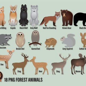 Png Forest Silhouettes Clipart Woodland Clip Art, Plants and Animals, Bear, Moose, Deer, Fox, Stag, Nature Silhouettes, Digital Scrapbook image 7