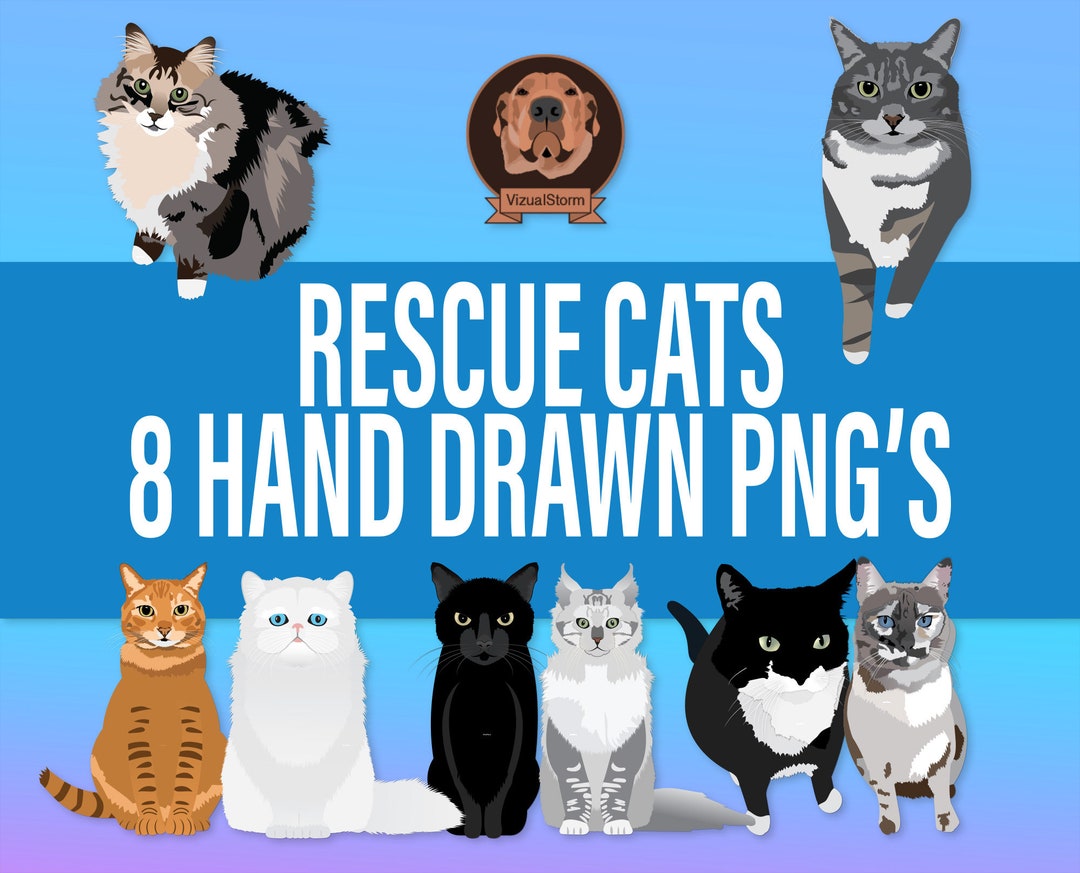 Cute Rescue Cats Clipart, Realistic Png Pet Illustrations for DIY Kitty ...