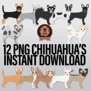 Hand Drawn Chihuahua Clip Art