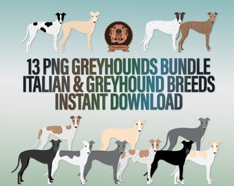 Greyhound Clipart Bundle Png - Variety of Coat Colors, Black, Blue, Brindle, Red, Fawn & White, Italian Greyhound Clip Art, PNG Dog Breeds