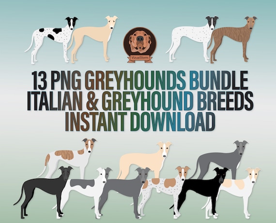 Greyhound Clipart Bundle Png - Variety of Coat Colors, Black, Blue, Brindle, Red, Fawn & White, Italian Greyhound Clip Art, PNG Dog Breeds