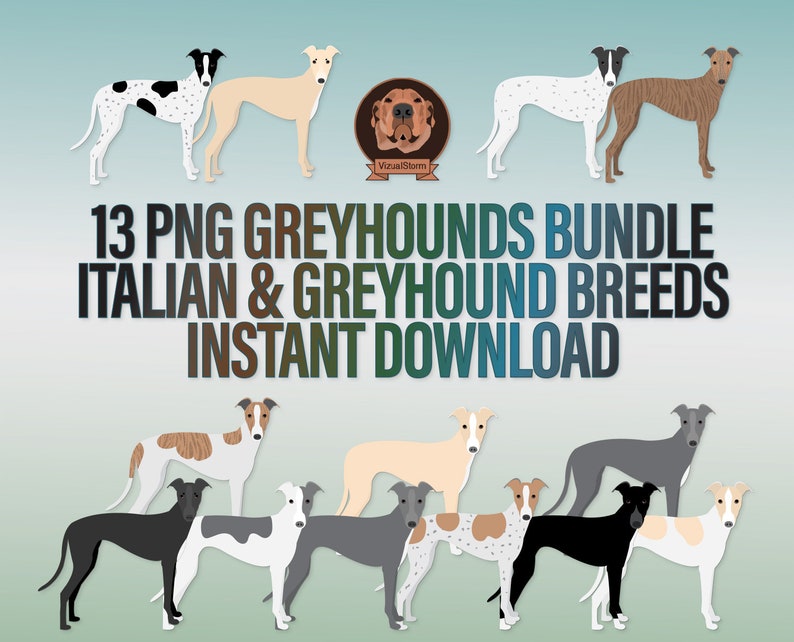 K&ouml;nnte beinhalten: Eine digitale Illustration von 13 verschiedenen Windhundrassen in verschiedenen Posen. Die Hunde sind alle in einem hellbraunen, schwarzen, wei&szlig;en und grauen Farbschema gehalten. Der Text "13 PNG GREYHOUNDS BUNDLE ITALIAN & GREYHOUND BREEDS INSTANT DOWNLOAD" befindet sich oben im Bild.