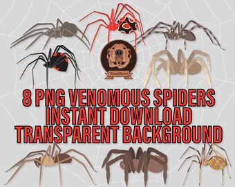 Venomous Spiders Png Clipart - Arachnophobia Clip Art, Black Widow, Funnel Web, Brown Recluse, Wandering Spider, Arachnids Halloween Clipart