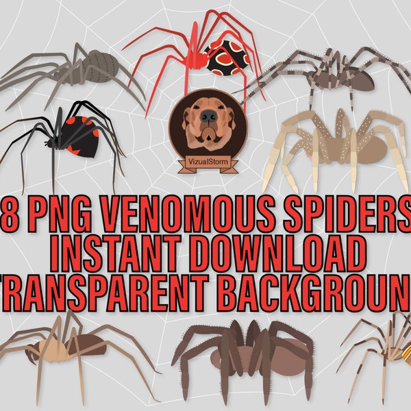 Venomous Spiders Png Clipart - Arachnophobia Clip Art, Black Widow, Funnel Web, Brown Recluse, Wandering Spider, Arachnids Halloween Clipart