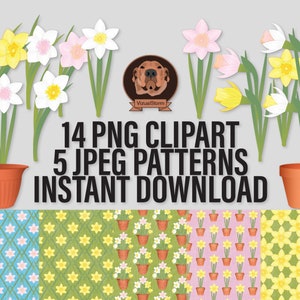 Hand Drawn Png Daffodils and Flower Patterns