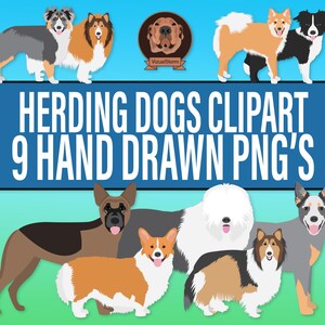 Clipartbundel hoeden van hondenrassen - illustraties herder, collie, herdershond, huisdierliefhebbers PNG-illustraties, perfect voor hondenliefhebbers en ouderdieren