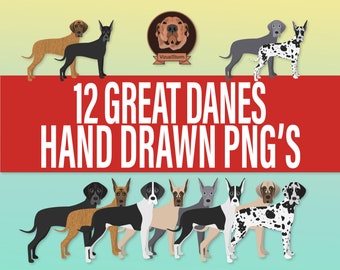 Great Dane Clipart Bundle - Varied Coats & Ear Styles, Hand Drawn Large Dog Breed Illustrations in Standing Poses, Pet Digital Download