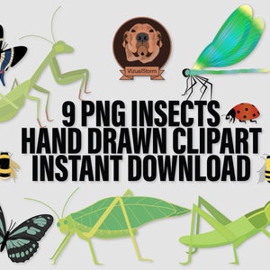 Insects Png Clipart. Butterflies, Dragonfly, Praying Mantis, Lady Beatle, Bumble Bee, Honey Bee and Katydid. Hand drawn insect illustrations.