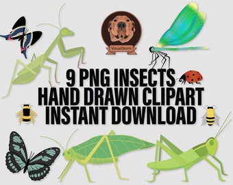 Insects Png Clipart - Entomology Bugs Clip Art, Praying Mantis, Lady Beatle, Butterflies, Katydid, Honey/Bumble Bees, Dragonfly, Grasshopper