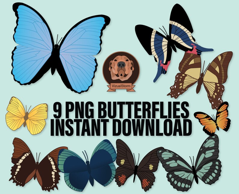 Butterflies Png Clipart Bundle Rainforest Butterfly Clip Art, Peru Insects, Blue Morpho, Swallowtail, Spring Card Making, Garden Png's image 1