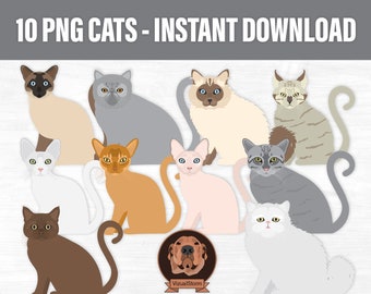 PNG Cat Breed Clipart Bundle - Cute Pet Clip Art, Kitten Mom, Maine Coon, British/American/Exotic Shorthair, Devon Rex, Siamese, Persian