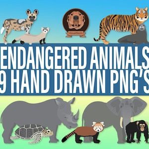 Imágenes prediseñadas de especies animales en peligro de extinción: tigre, panda y elefante dibujados a mano. Ilustraciones PNG para la conservación de la vida silvestre.