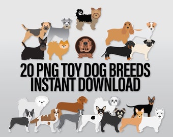 Bundle de cliparts de races de chiens de jouet dessinés à la main, illustrations de petits chiens dans la pose debout, clipart animaux numériques pour parents d'animaux de compagnie ou mamans de chiens