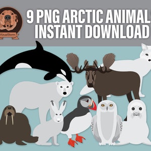 Png Arctic Animal Clip Art Digital Antarctica Wildlife Illustrations Moose, Walrus, Puffin, Fox, Bear, Snowy Owl, Seal, Orca, White Hare image 1