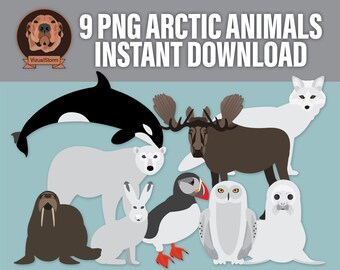 Png Arktis Tier Clip Art - Digitale Antarktis Wildlife Illustrationen - Elch, Walross, Papageitaucher, Fuchs, Bär, Schnee-Eule, Robbe, Orca, weißer Hase