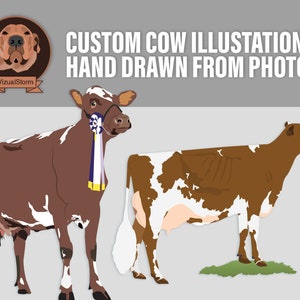 Custom Png Cow Illustrations. Hand drawn from photos