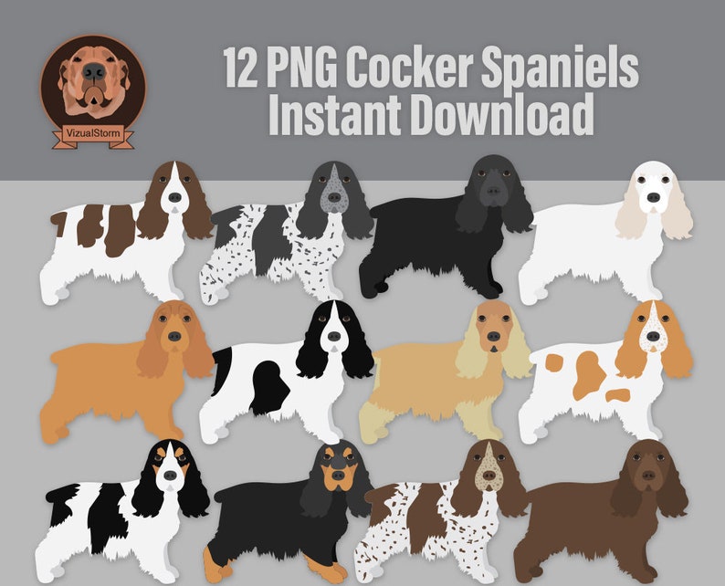 Cocker Spaniel Clipart