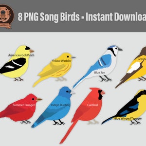 K&ouml;nnte beinhalten: Acht digitale Illustrationen verschiedener Singv&ouml;gel, darunter ein Amerikanischer Goldfink, ein Gelber Walds&auml;nger, ein Blauer Jay, ein Sommer-Tanager, ein Indigo-Ammer, ein Kardinal, ein Kernbei&szlig;er und ein Blaufl&uuml;gel-Tanager. Die V&ouml;gel sind in ihren nat&uuml;rlichen Farben dargestellt und schauen nach vorne.