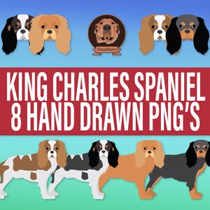 King Charles Spaniel Png Graphics - Hand Drawn British Dog Breed with Face Portrait & Standing Pose, English Pet Clipart with Various Colors Including Black & Tan, Ruby, Blenheim and Tri-Color. Instant download