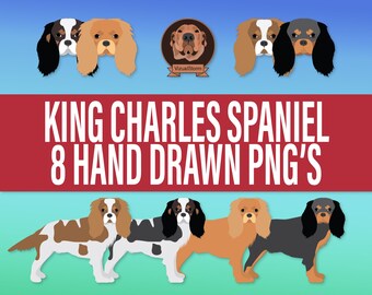 King Charles Spaniel Png Graphics - Hand Drawn British Dog Breed with Face Portrait & Standing Pose, English Pet Clipart with Various Colors