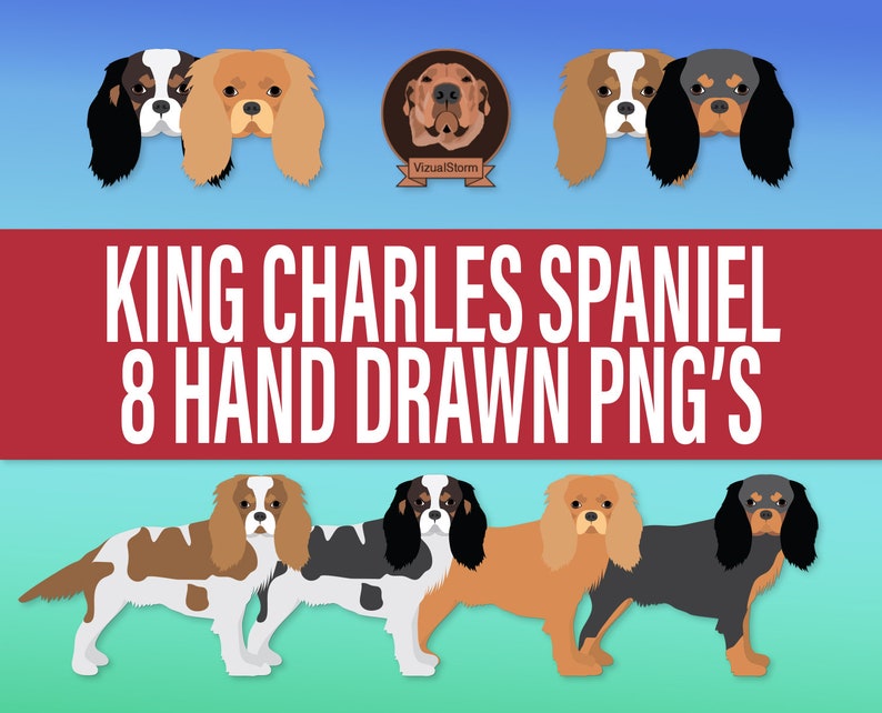 King Charles Spaniel Png Graphics - Hand Drawn British Dog Breed with Face Portrait & Standing Pose, English Pet Clipart with Various Colors Including Black & Tan, Ruby, Blenheim and Tri-Color. Instant download