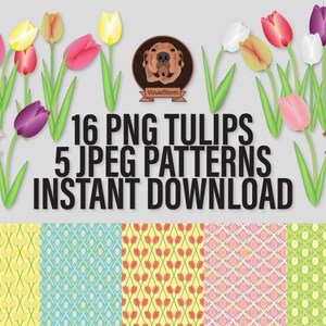 hand drawn Png Tulips and Tulip digital patterns