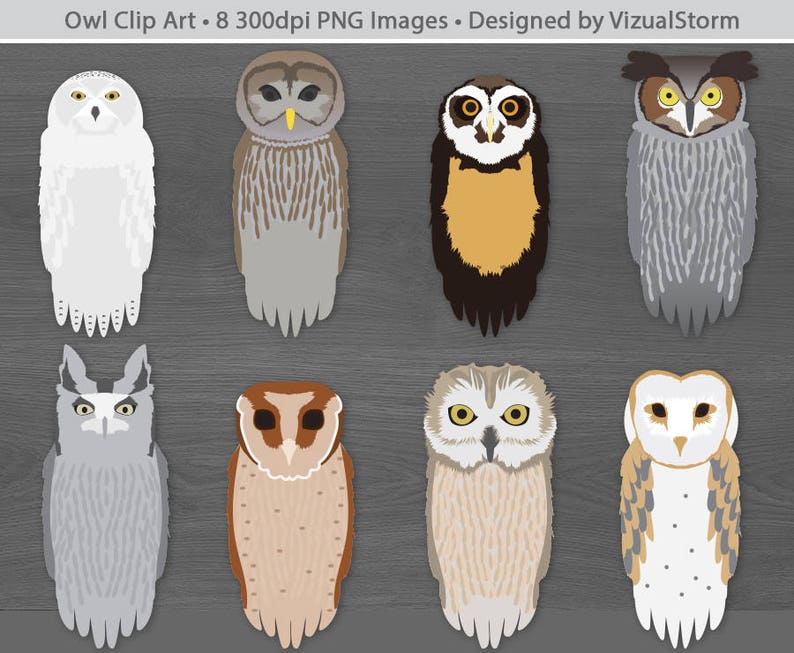 Download Woodland Animals Clipart Bundle Forest Animal Graphics | Etsy