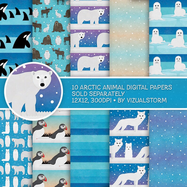 Png Arctic Animal Clip Art Digital Antarctica Wildlife Illustrations Moose, Walrus, Puffin, Fox, Bear, Snowy Owl, Seal, Orca, White Hare image 5