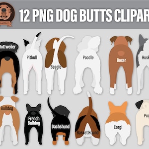 Dog Butt Clipart Cute Png Pet Behinds, Funny Clip Art with Pitbull, Corgi, Doxy, Husky, Boxer, Beagle, Poodle, Bulldogs, Pug, Rottweiler image 2