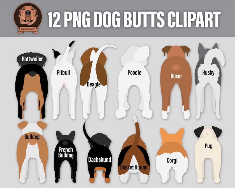 Dog Butt Clipart Cute Png Pet Behinds, Funny Clip Art with Pitbull, Corgi, Doxy, Husky, Boxer, Beagle, Poodle, Bulldogs, Pug, Rottweiler image 2