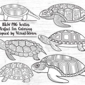 Black and White Turtles Png - Tortoise Line Art for Scrapbooking, Coloring or Marine Animal Crafts, Outlines of Turtles - Hand Drawn Sea Life