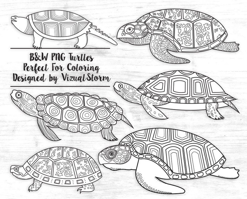 Black and White Turtles Png - Tortoise Line Art for Scrapbooking, Coloring or Marine Animal Crafts, Outlines of Turtles - Hand Drawn Sea Life